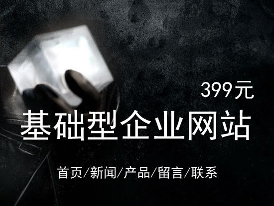 金普新区网站建设网站设计最低价399元 岛内建站dnnic.cn